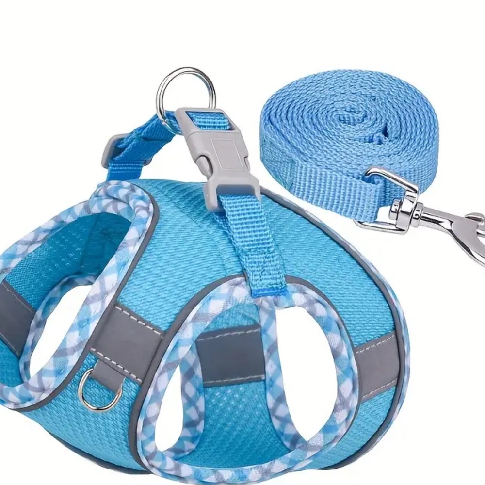 Blue Dog Cat Lizard Pet Harness and Leash Set